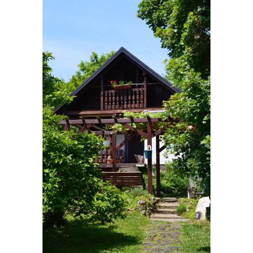 Na Okić - a private forest oasis