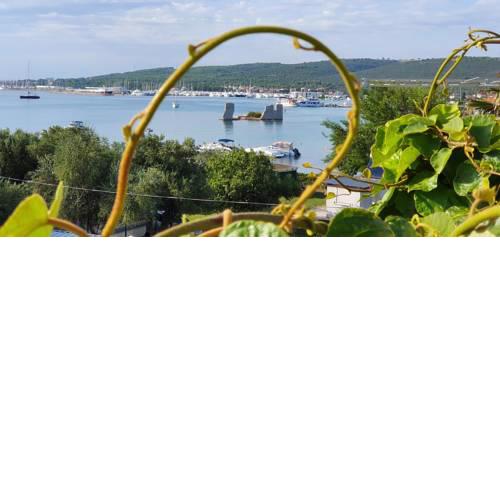 Apartman Suky