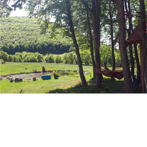 Nice home in Frkasic with Outdoor swimming pool, Jacuzzi and 3 Bedrooms