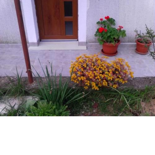 One-Bedroom House in Labin I