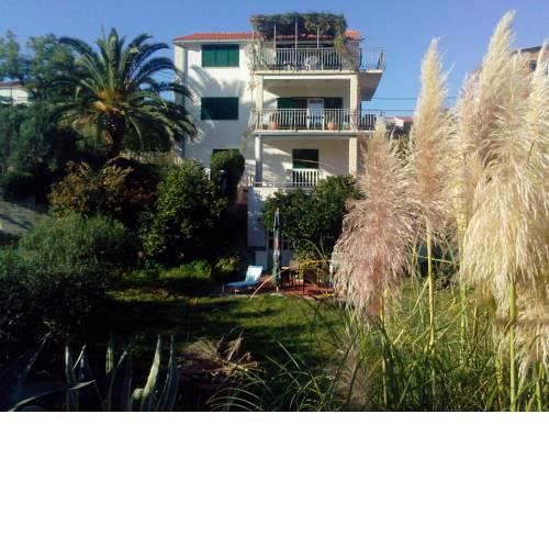 Palm Tree House