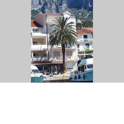 Palm tree studio, Podgora