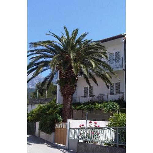 Palma Apartments