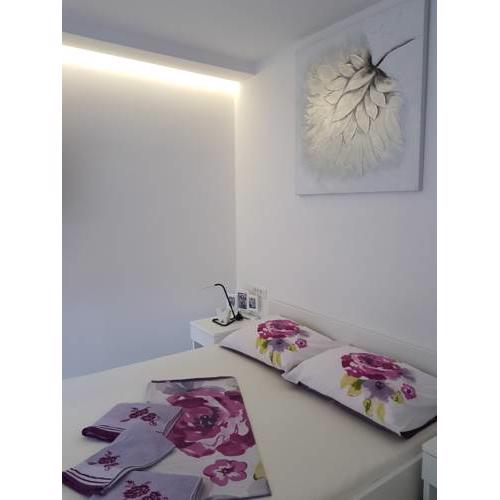 Paula Centar Apartman