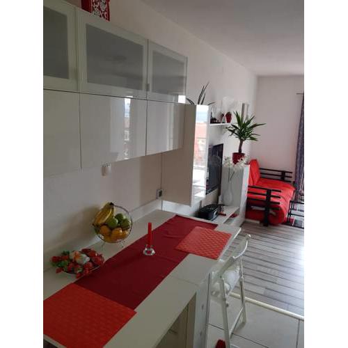 Perhata ivice ricica 11f
