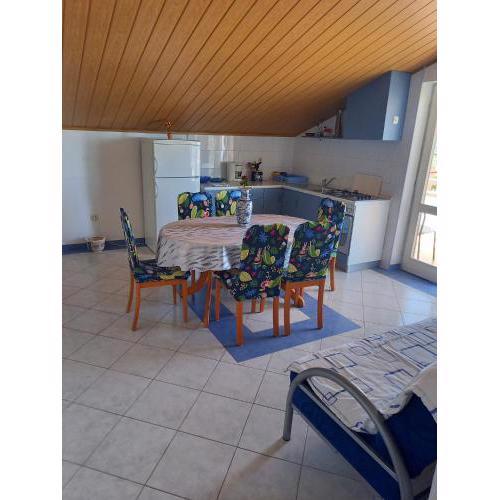 PLAVI