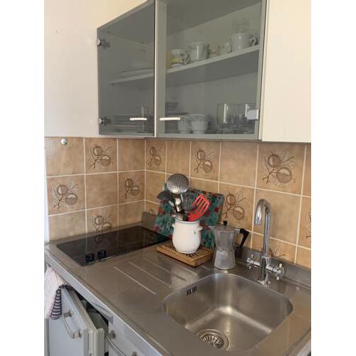 Put za Paleru 22
