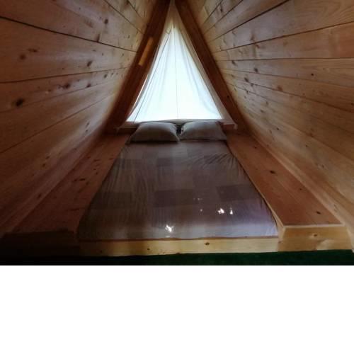 Robinson camp Organic