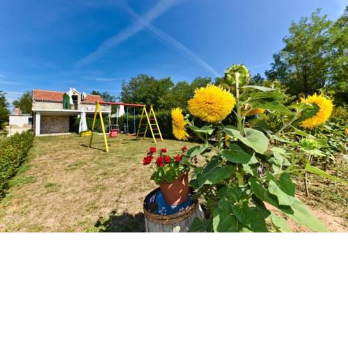 Romantic pet friendly house Orhideja