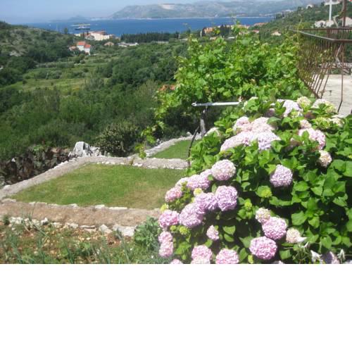 Sea view apartment Floyd