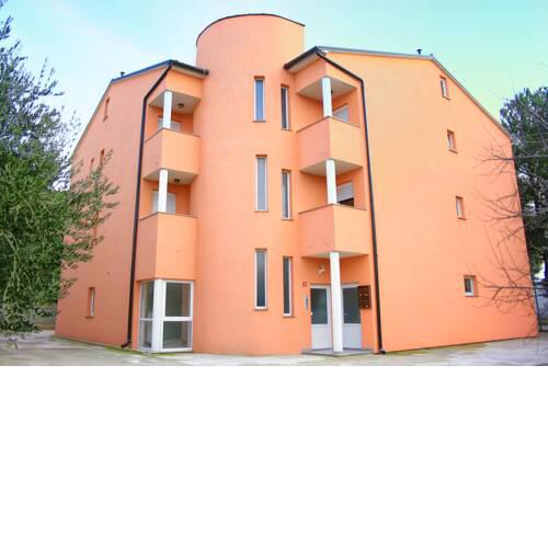Senad - Seka - a48611