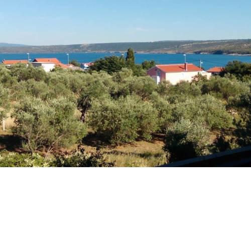 Stella Maris