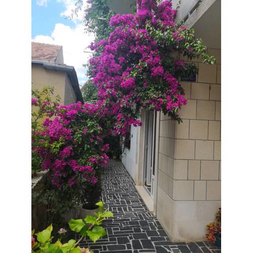 Studio apartman Zana