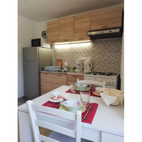 Studio Apartment Mileta