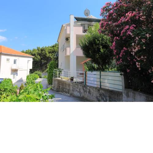 Studio Duce 17661a
