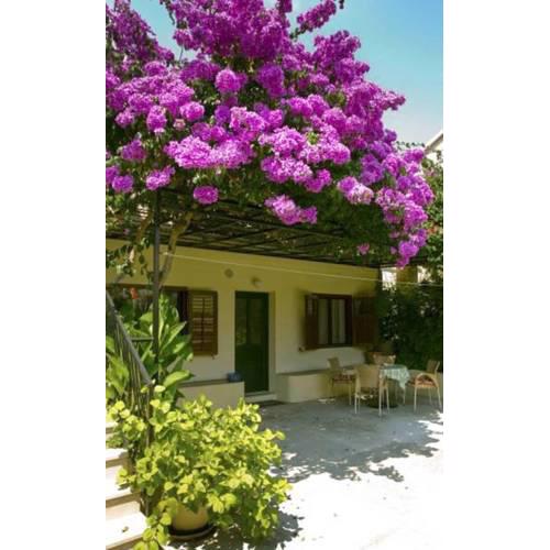 Studio in Bol/Insel Brac 5954