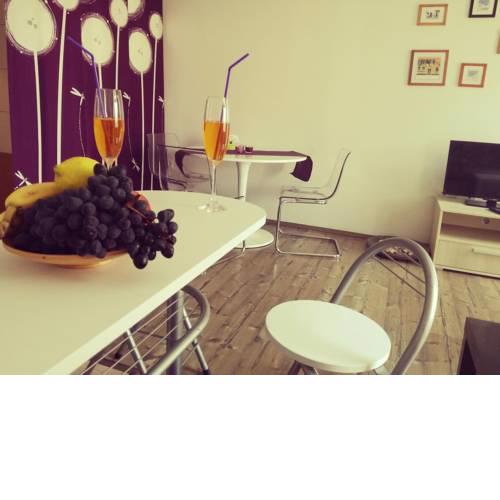 Studio Jakov