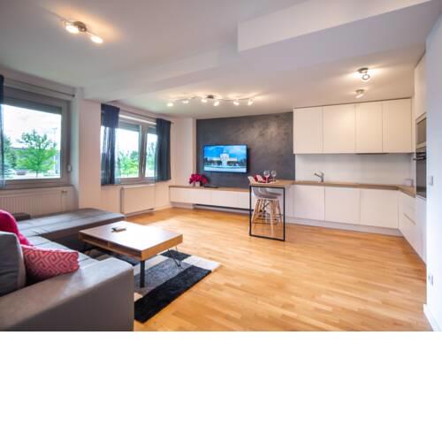 Stylish and comfortable new apartment near Arena