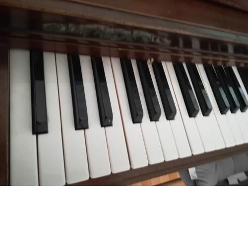 The Piano Apartment