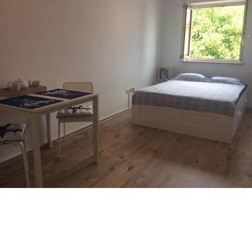 Tiny Studio Big living