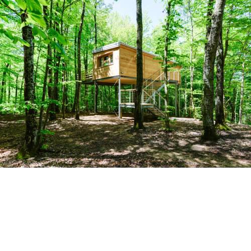 Treehouse Lika 2