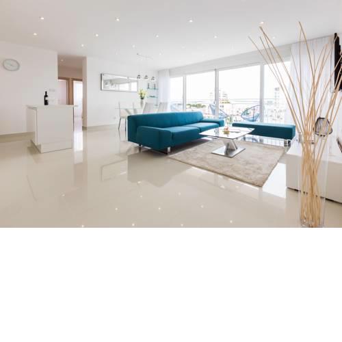 Urban Luxury Apartment