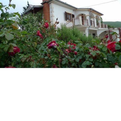 Villa ''Ane''