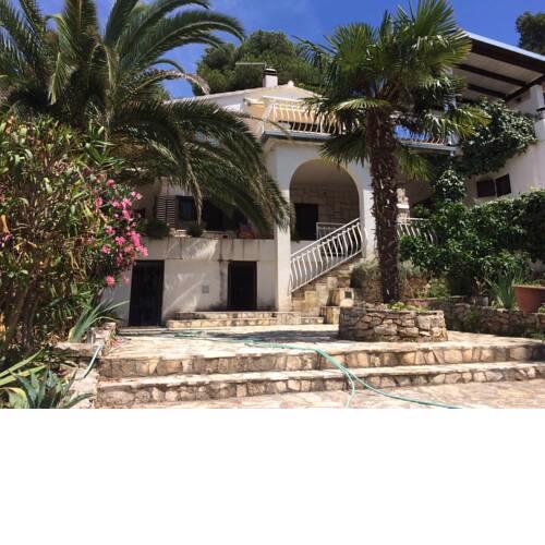 Villa Dela Maslinica
