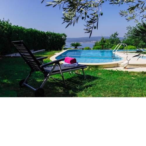 Villa Lion's House