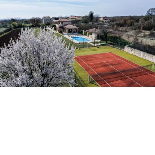 Villa Marinac Maslina