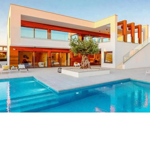Villa Old Olive VIII