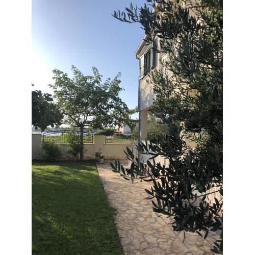 Villa Olive Grove Ferienhaus in Kroatien direkt am Meer nahe Zadar und Nin