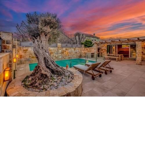 Villa Ray