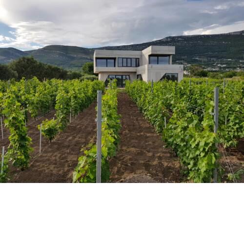 Villa SEVEN HEARTS with heated pool and private basketball playground near Split