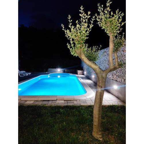 Village holiday apartman with heated pool Maslina