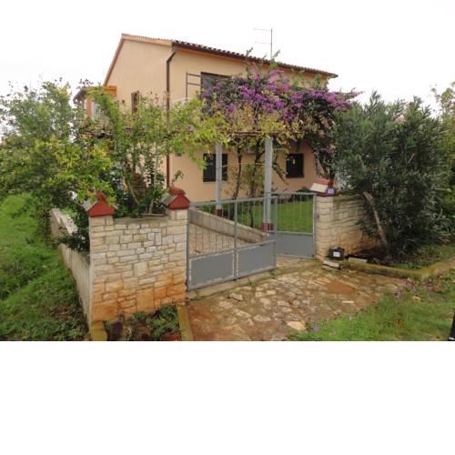 Violeta - Ližnjan