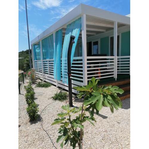 White-Pearl Mobile-Home