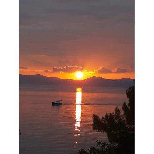 Zadar Miljenka Kresimirova obala 17